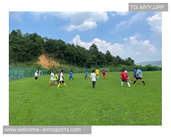 随风而行的足球梦在绿茵场上尽情绽放的青春故事 随风而行的足球梦在绿茵场上尽情绽放的青春故事